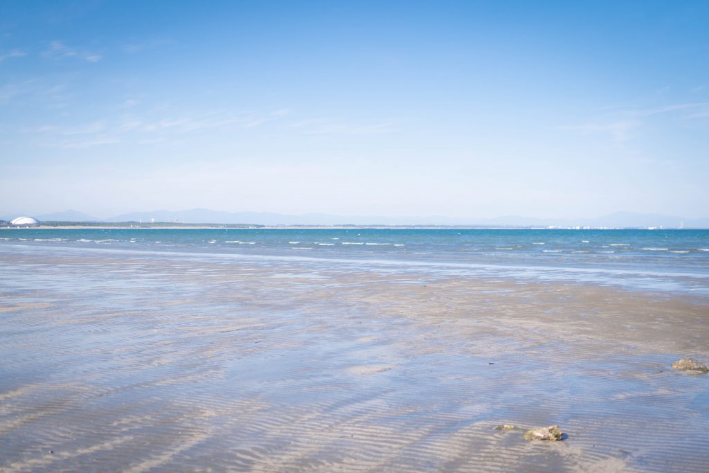 青島 宮崎 インスタグラム