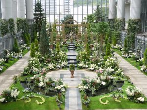 【休館中】兵庫県の淡路夢舞台で「淡路夢舞台薔薇祭」が開催されています!