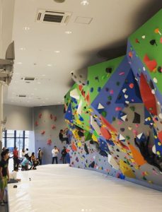 国内最大規模のクライミング施設が京都にオープン!