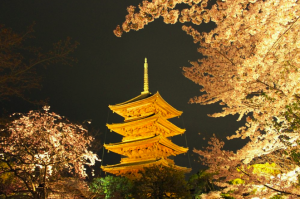 【おうちで楽しもう】日本一の高さを誇る五重塔!東寺の観光スポットまとめました!