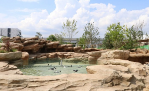 動物たちと触れ合おう!「神戸どうぶつ王国」